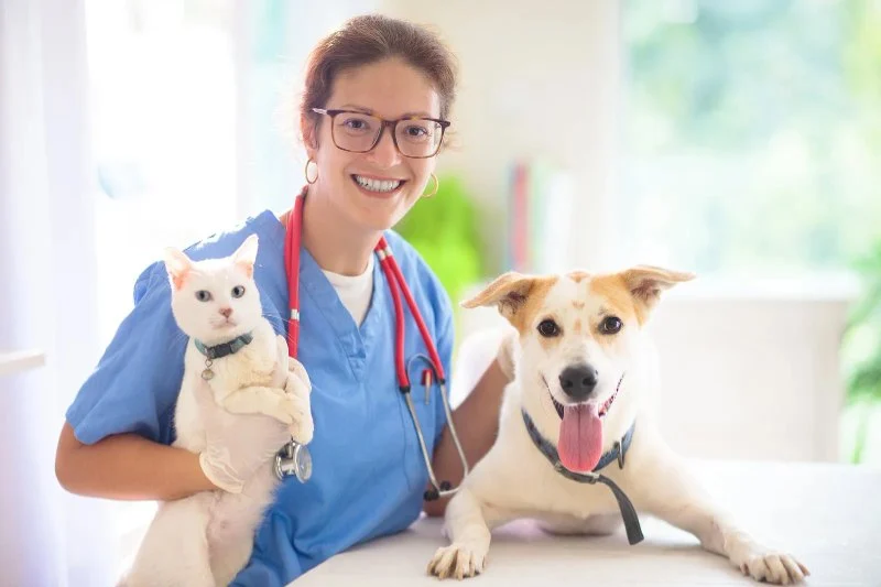 How Often Should You Take Your Pet for a Health Checkup?