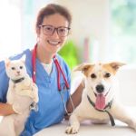 How Often Should You Take Your Pet for a Health Checkup?