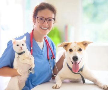 How Often Should You Take Your Pet for a Health Checkup?
