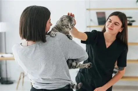 What to Expect During Your Pet’s First Vet Visit in the UK