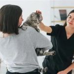 What to Expect During Your Pet’s First Vet Visit in the UK