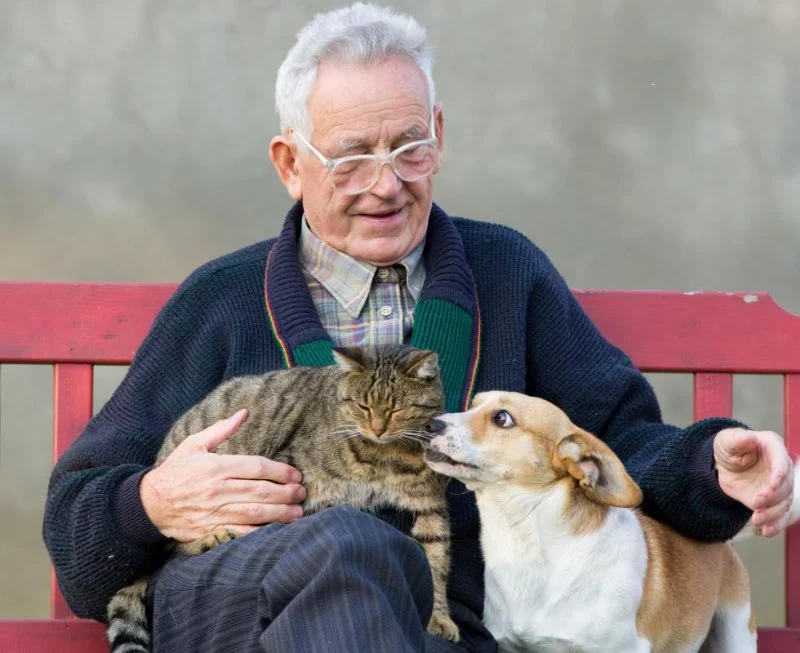 Essential Tips for Caring for Senior Pets: Best Practices for Pet Owners