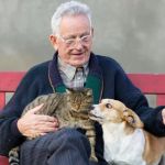 Essential Tips for Caring for Senior Pets: Best Practices for Pet Owners