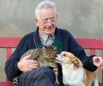 Essential Tips for Caring for Senior Pets: Best Practices for Pet Owners