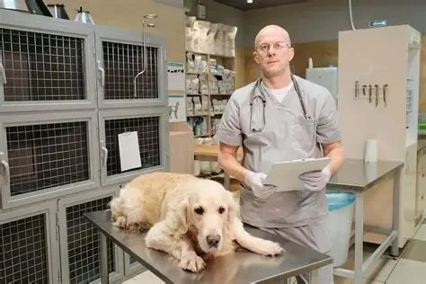 Top 10 Signs Your Pet Needs to See a Vet Immediately – RegPets