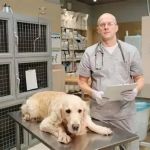Top 10 Signs Your Pet Needs to See a Vet Immediately – RegPets
