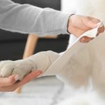 How to Handle Emergency Situations with Your Pet: A Comprehensive Guide