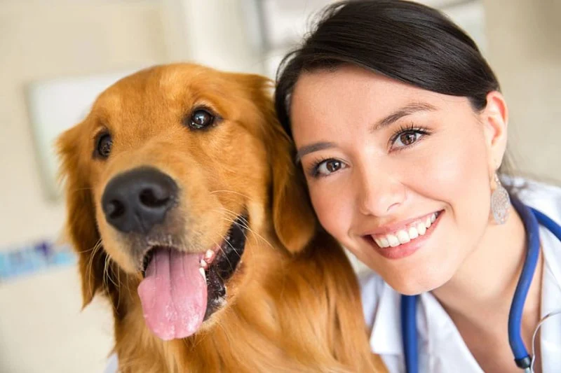 Top 10 Signs Your Pet Needs to See a Vet Immediately | Expert Pet Care Advice