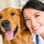 Top 10 Signs Your Pet Needs to See a Vet Immediately | Expert Pet Care Advice