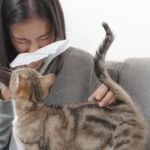 How to Recognize and Handle Allergies in Dogs and Cats