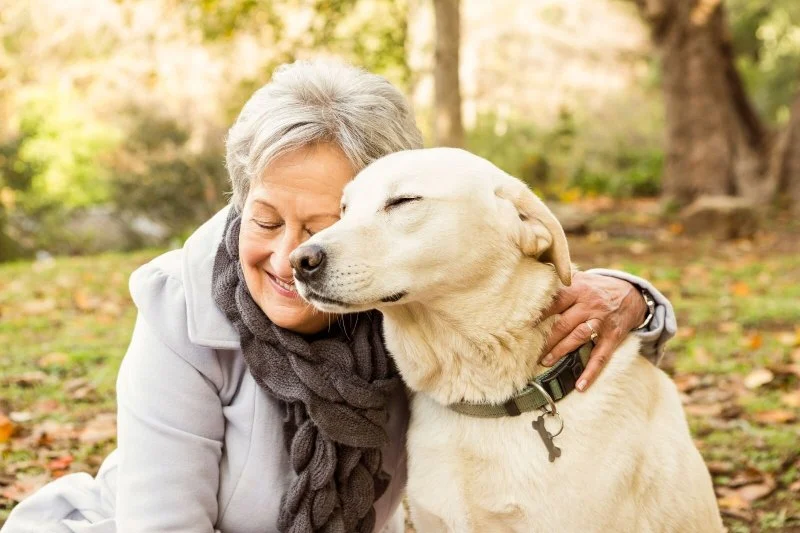 Essential Tips for Caring for Senior Pets: A Complete Guide for Pet Owners