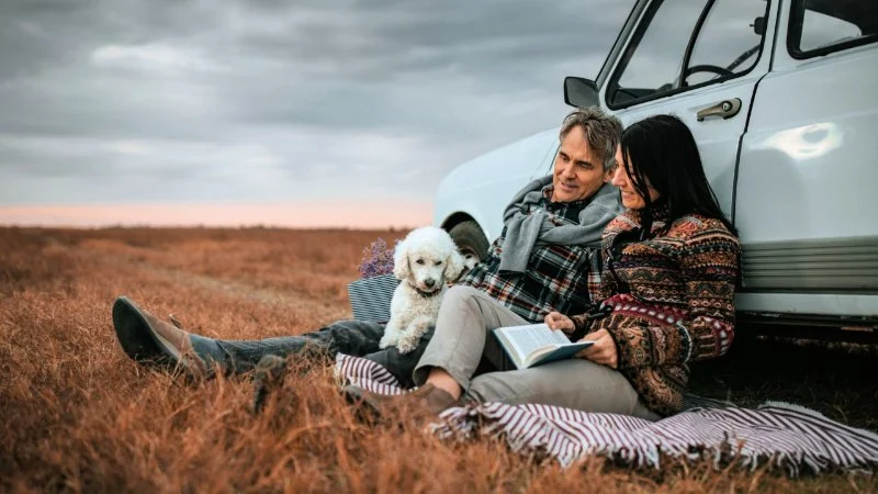 Best Practices for Travel Safety in Puppies: Expert Tips for Safe Journeys