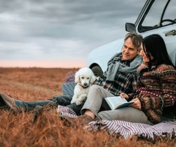 Best Practices for Travel Safety in Puppies: Expert Tips for Safe Journeys