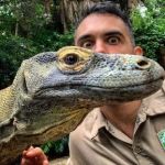 Top 10 Behaviour Training Every Reptile Owner in the UK Should Know