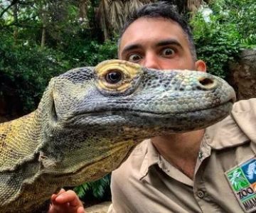 Top 10 Behaviour Training Every Reptile Owner in the UK Should Know