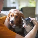 Allergy Care Tips for Exotic Pets: What UK Pet Owners Need to Know
