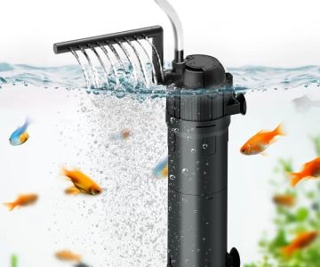 Expert Vet Advice on Health Checkups for Fish: Keep Your Aquarium Healthy | RegPets