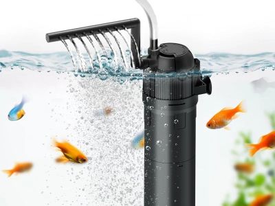 Expert Vet Advice on Health Checkups for Fish: Keep Your Aquarium Healthy | RegPets