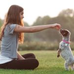 How to Improve Puppies Behaviour Training at Home