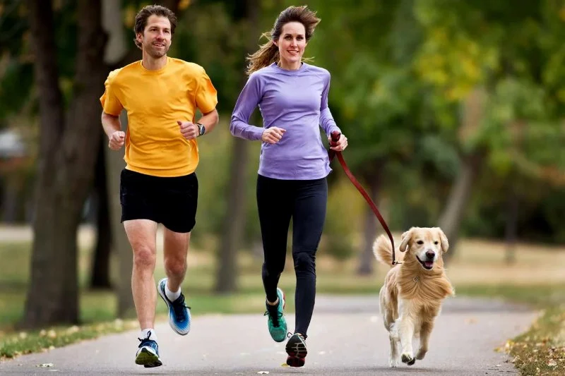 The Importance of Exercise and Fitness for Senior Pets – UK Edition