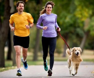 The Importance of Exercise and Fitness for Senior Pets – UK Edition