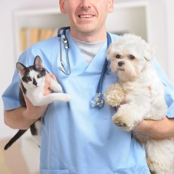 Best Practices for Puppy and Kitten Care in Reptiles | RegPets