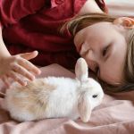 Top 10 Seasonal Health Tips Every Rabbit Owner in the UK Should Know