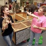 Best Practices for Mental Health in Exotic Pets: Expert Tips
