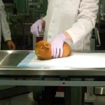 Vet-Approved Weight Management for Guinea Pigs – UK Care Guide