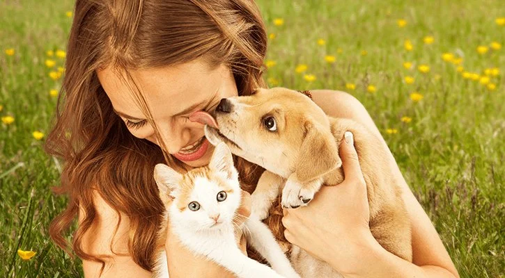 Best Practices for Puppy and Kitten Care in Hamsters: Essential Tips for Pet Owners