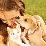 Best Practices for Puppy and Kitten Care in Hamsters: Essential Tips for Pet Owners