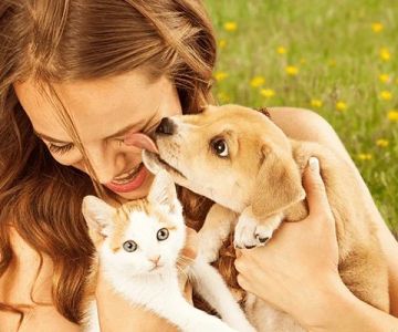 Best Practices for Puppy and Kitten Care in Hamsters: Essential Tips for Pet Owners