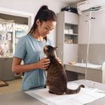 Expert Vet Advice on Mental Health for Exotic Pets