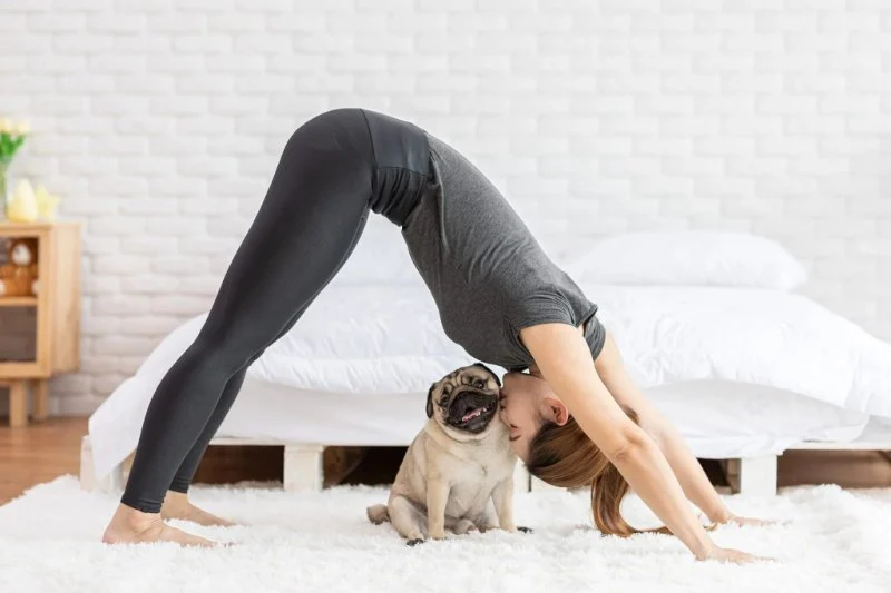 Top 10 Exercise and Fitness Tips Every Exotic Pet Owner in the UK Should Know