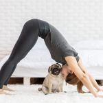 Top 10 Exercise and Fitness Tips Every Exotic Pet Owner in the UK Should Know