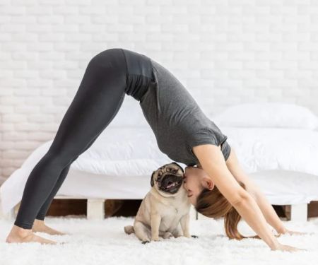 Top 10 Exercise and Fitness Tips Every Exotic Pet Owner in the UK Should Know
