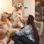 How to Improve Your Dog's Mental Health at Home