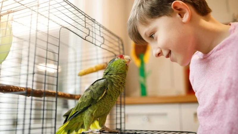 Complete Guide to Puppy and Kitten Care for Birds