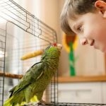 Complete Guide to Puppy and Kitten Care for Birds