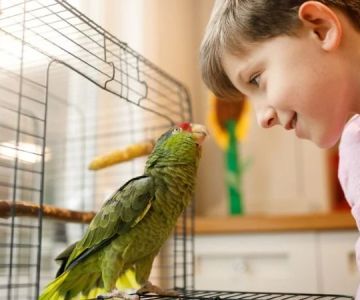 Complete Guide to Puppy and Kitten Care for Birds