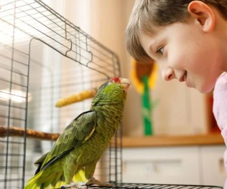 Complete Guide to Puppy and Kitten Care for Birds