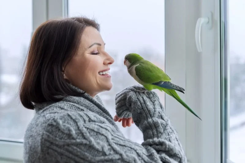 UK Pet Owner’s Guide to Mental Health for Birds: Understanding and Supporting Your Pet’s Well-Being