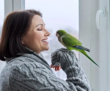 UK Pet Owner’s Guide to Mental Health for Birds: Understanding and Supporting Your Pet’s Well-Being