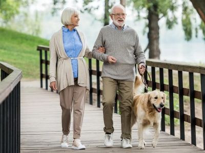 Mental Health Explained: Keeping Your Senior Pets Healthy in the UK