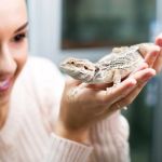 Top 10 Preventive Care Tips Every Reptile Owner in the UK Should Know