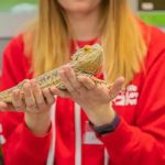 Top 10 Adoption Guide Every Exotic Pets Owner in the UK Should Know