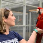 Vet-Approved Behaviour Training for Birds