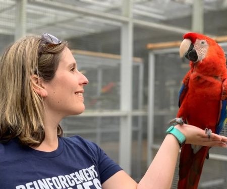 Vet-Approved Behaviour Training for Birds