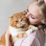 Travel Safety Explained: Keeping Your Cats Healthy in the UK