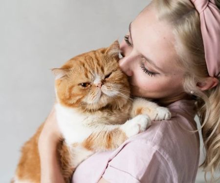 Travel Safety Explained: Keeping Your Cats Healthy in the UK